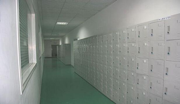 ���ڏS���b��Ч���D