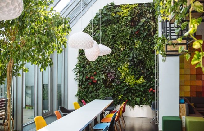 �Gɫֲ���k�����b���