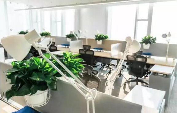 �vӍ���֘��b�ތ����D